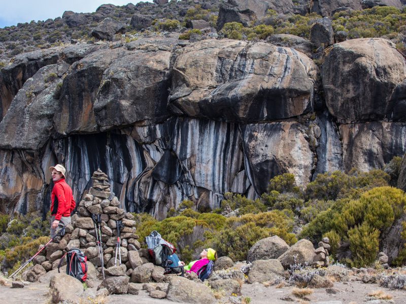 zebra rock kilimanjaro